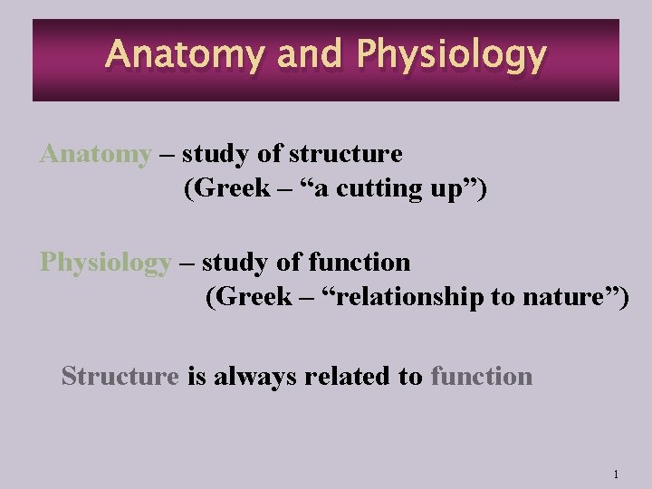 Anatomy and Physiology Anatomy – study of structure (Greek – “a cutting up”) Physiology