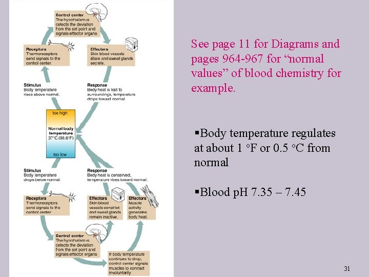 See page 11 for Diagrams and pages 964 -967 for “normal values” of blood