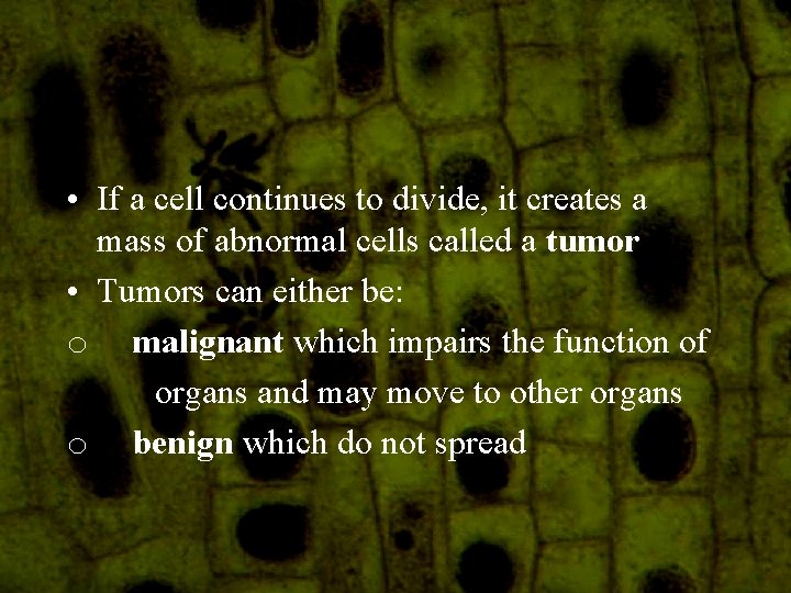  • If a cell continues to divide, it creates a mass of abnormal