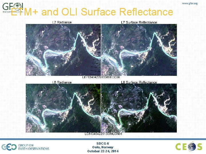 www. gfoi. org ETM+ and OLI Surface Reflectance SDCG-6 Oslo, Norway October 22 -24,