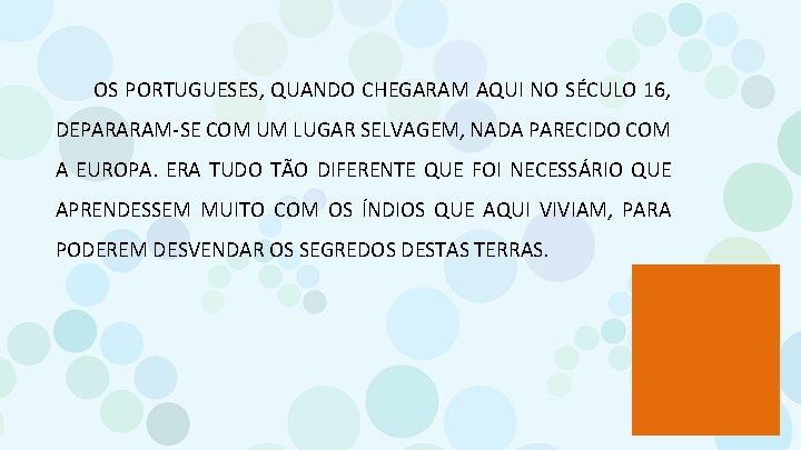 OS PORTUGUESES, QUANDO CHEGARAM AQUI NO SÉCULO 16, DEPARARAM-SE COM UM LUGAR SELVAGEM, NADA