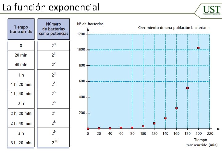 La función exponencial 