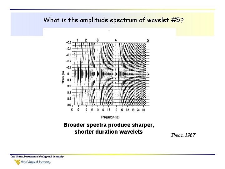 What is the amplitude spectrum of wavelet #5? Broader spectra produce sharper, shorter duration