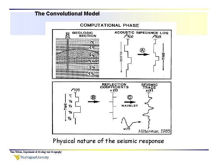 The Convolutional Model Hilterman, 1985 Physical nature of the seismic response Tom Wilson, Department