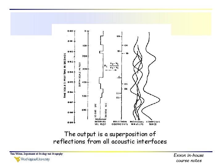 The output is a superposition of reflections from all acoustic interfaces Tom Wilson, Department