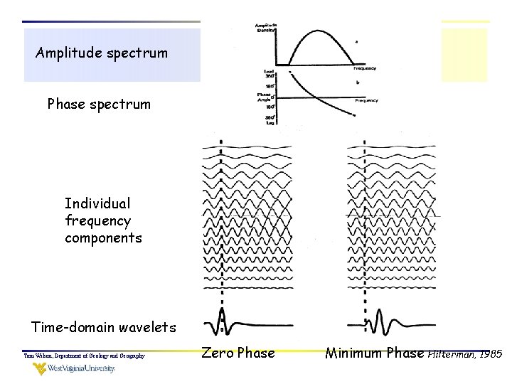 Amplitude spectrum Phase spectrum Individual frequency components Time-domain wavelets Tom Wilson, Department of Geology