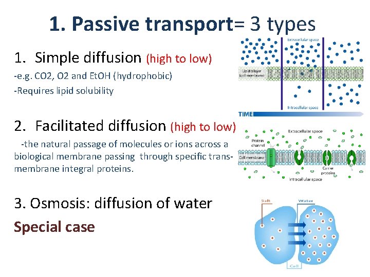 1. Passive transport= 3 types 1. Simple diffusion (high to low) -e. g. CO