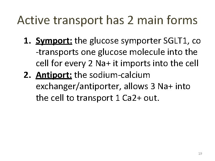 Active transport has 2 main forms 1. Symport: the glucose symporter SGLT 1, co