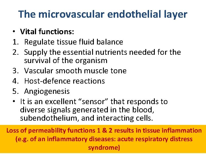 The microvascular endothelial layer • Vital functions: 1. Regulate tissue fluid balance 2. Supply