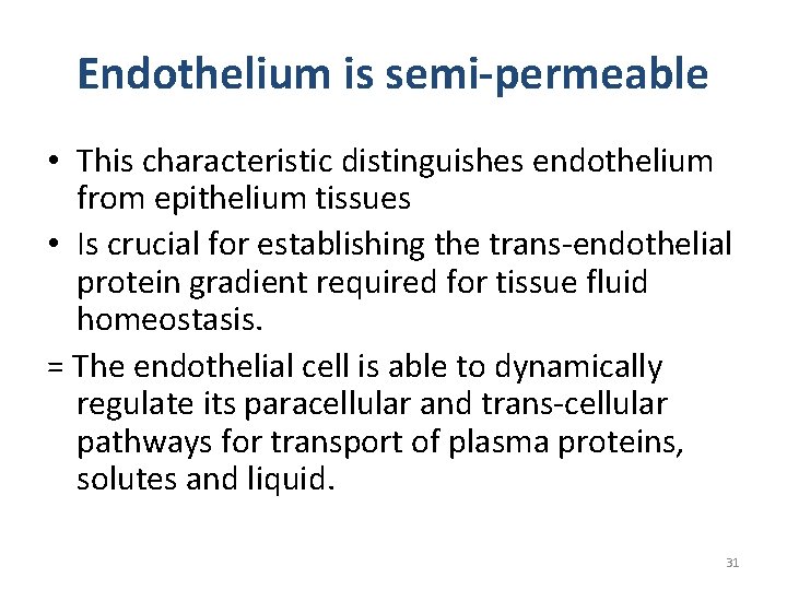 Endothelium is semi-permeable • This characteristic distinguishes endothelium from epithelium tissues • Is crucial