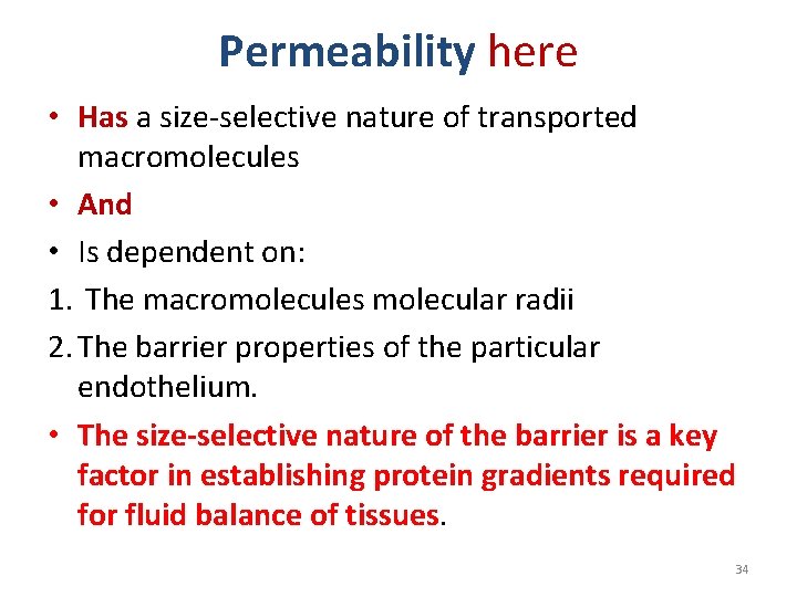 Permeability here • Has a size-selective nature of transported macromolecules • And • Is