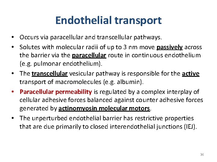 Endothelial transport • Occurs via paracellular and transcellular pathways. • Solutes with molecular radii