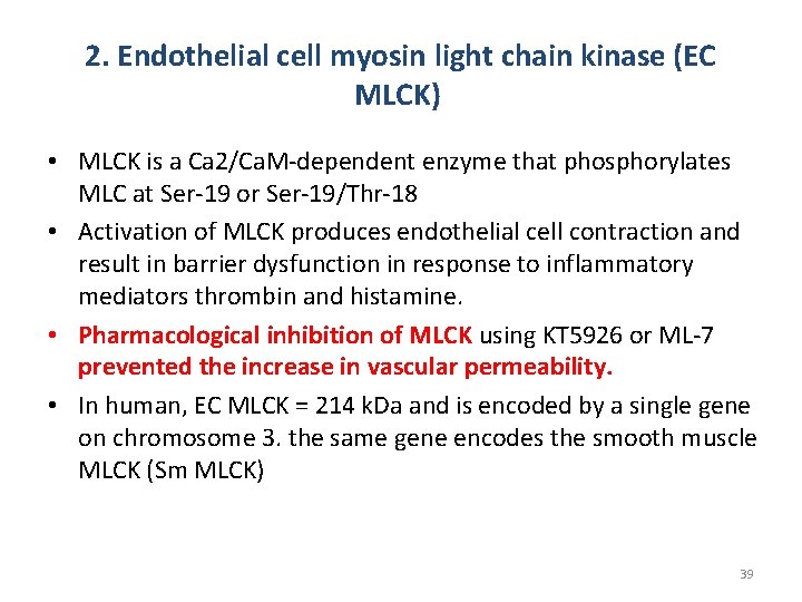 2. Endothelial cell myosin light chain kinase (EC MLCK) • MLCK is a Ca