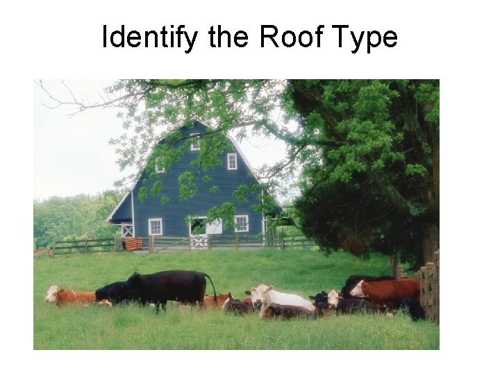 Identify the Roof Type 