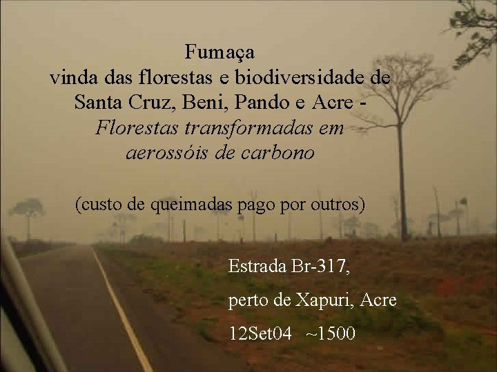 Fumaça vinda das florestas e biodiversidade de Santa Cruz, Beni, Pando e Acre Florestas