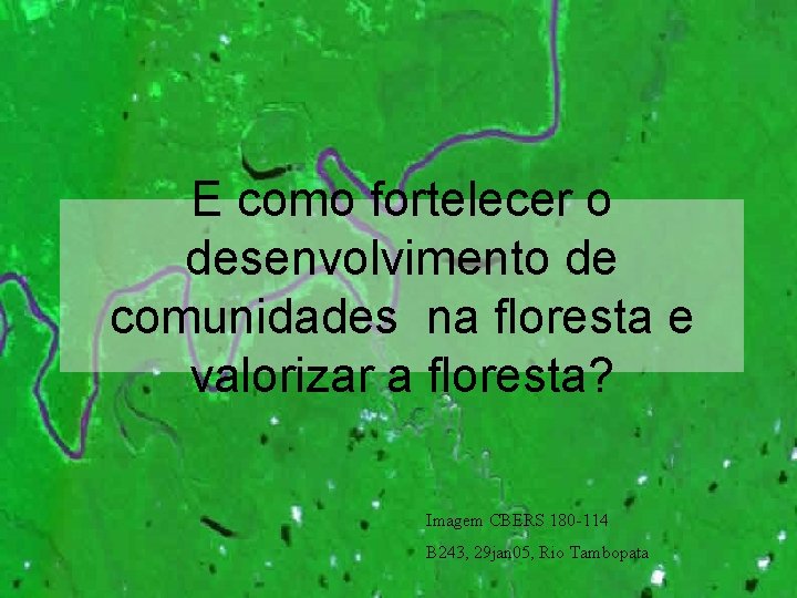 E como fortelecer o desenvolvimento de comunidades na floresta e valorizar a floresta? Imagem