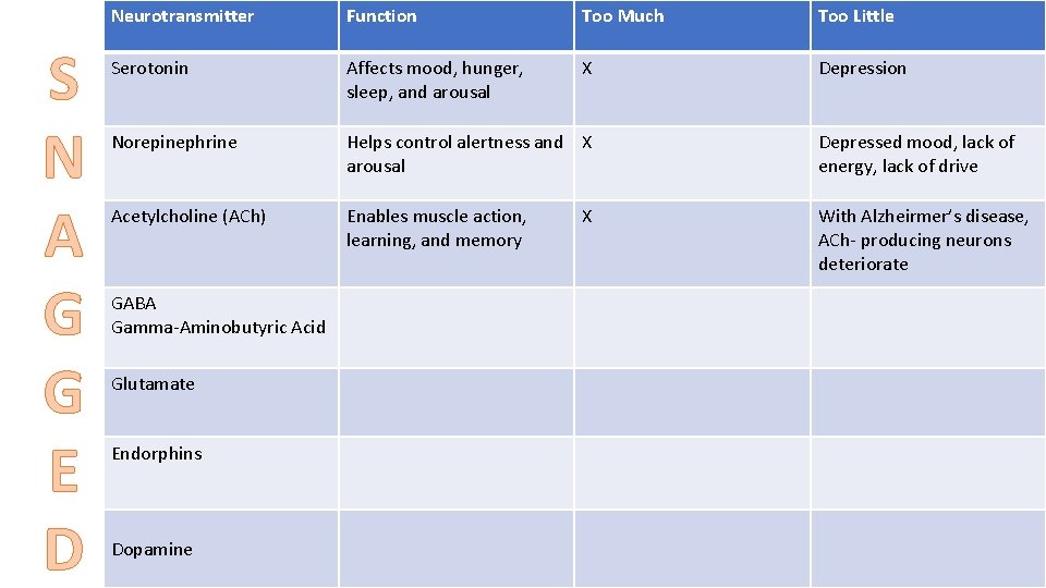 S N A G G E D Neurotransmitter Function Too Much Too Little Serotonin