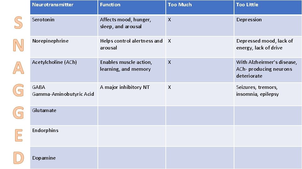 S N A G G E D Neurotransmitter Function Too Much Too Little Serotonin