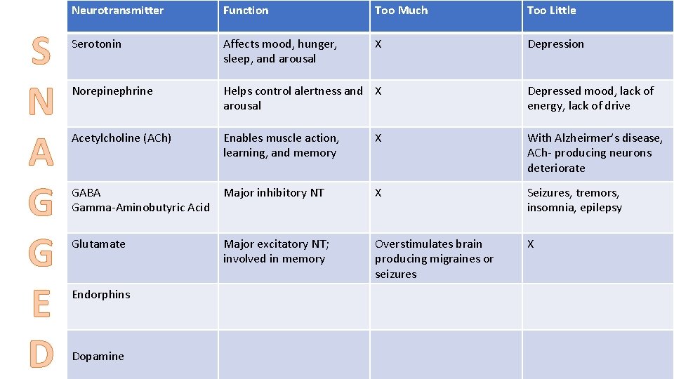 S N A G G E D Neurotransmitter Function Too Much Too Little Serotonin