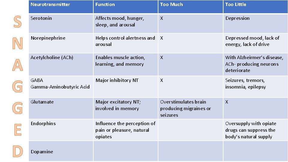 S N A G G E D Neurotransmitter Function Too Much Too Little Serotonin
