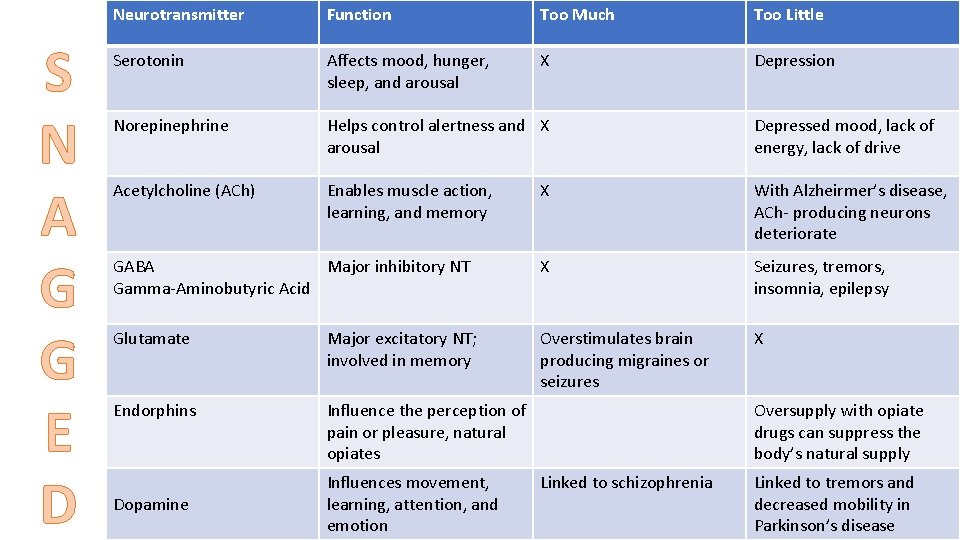 S N A G G E D Neurotransmitter Function Too Much Too Little Serotonin