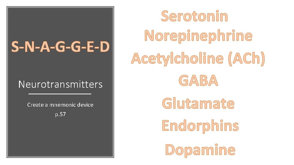 S-N-A-G-G-E-D Neurotransmitters Create a mnemonic device p. 57 Serotonin Norepinephrine Acetylcholine (ACh) GABA Glutamate