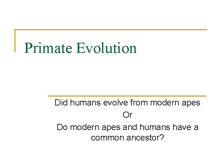 Primate Evolution Did humans evolve from modern apes Or Do modern apes and humans