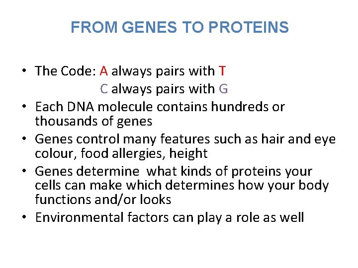 FROM GENES TO PROTEINS • The Code: A always pairs with T C always