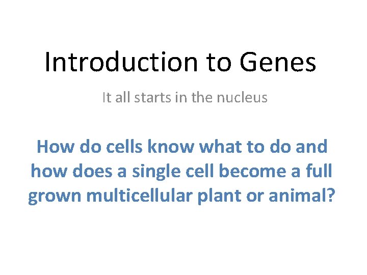 Introduction to Genes It all starts in the nucleus How do cells know what Introduction to Genes It all starts in the nucleus How do cells know what