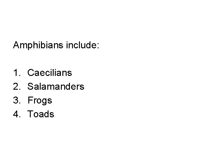 Amphibians include: 1. 2. 3. 4. Caecilians Salamanders Frogs Toads 