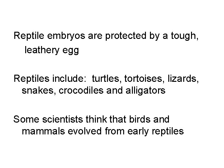 Reptile embryos are protected by a tough, leathery egg Reptiles include: turtles, tortoises, lizards,
