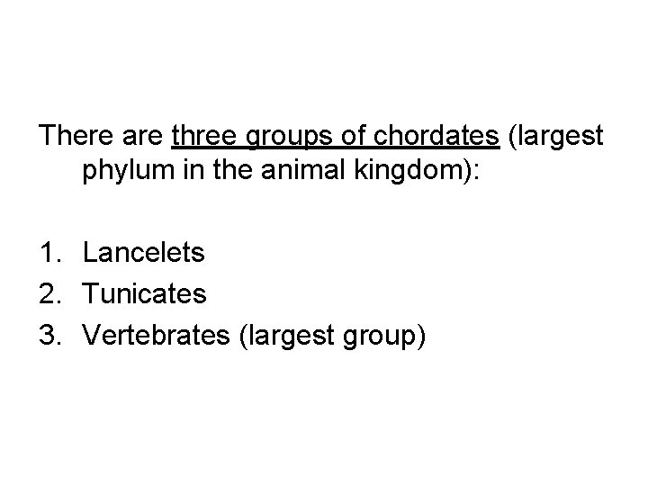 There are three groups of chordates (largest phylum in the animal kingdom): 1. Lancelets