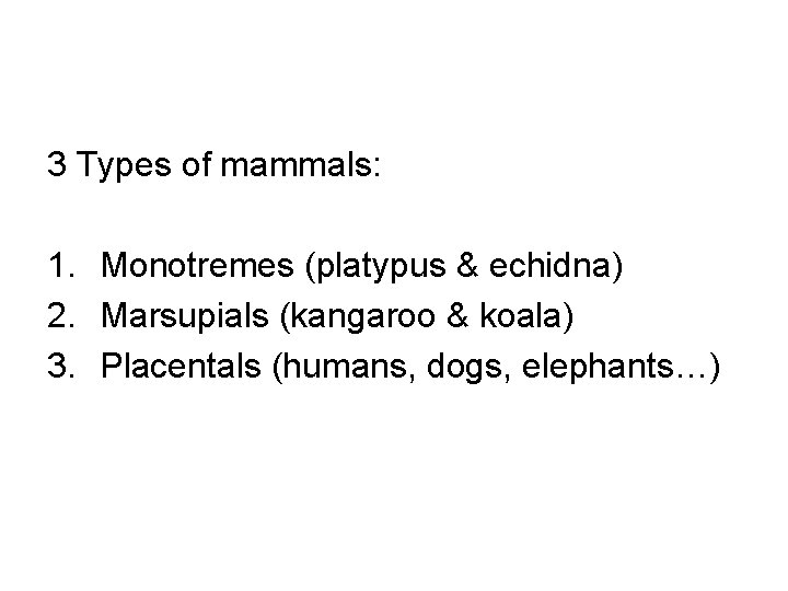 3 Types of mammals: 1. Monotremes (platypus & echidna) 2. Marsupials (kangaroo & koala)