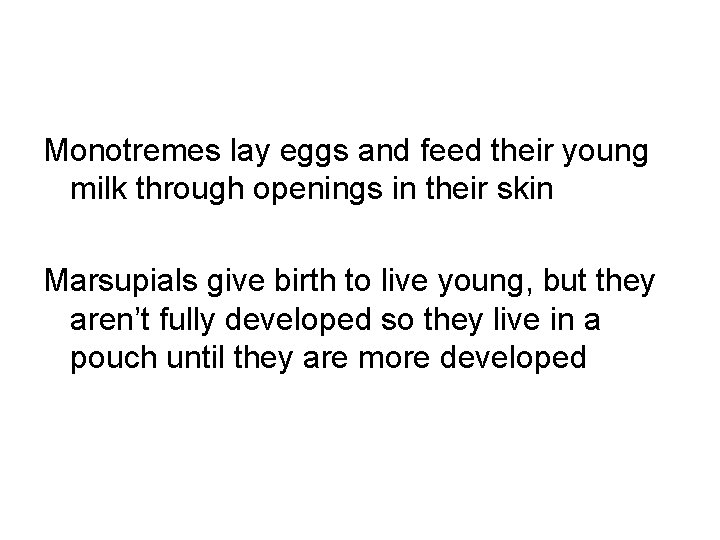 Monotremes lay eggs and feed their young milk through openings in their skin Marsupials