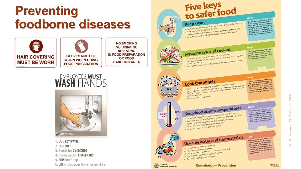 Dr. IEcheverry - CHS 371 _ 2 nd 3637 Preventing foodborne diseases 