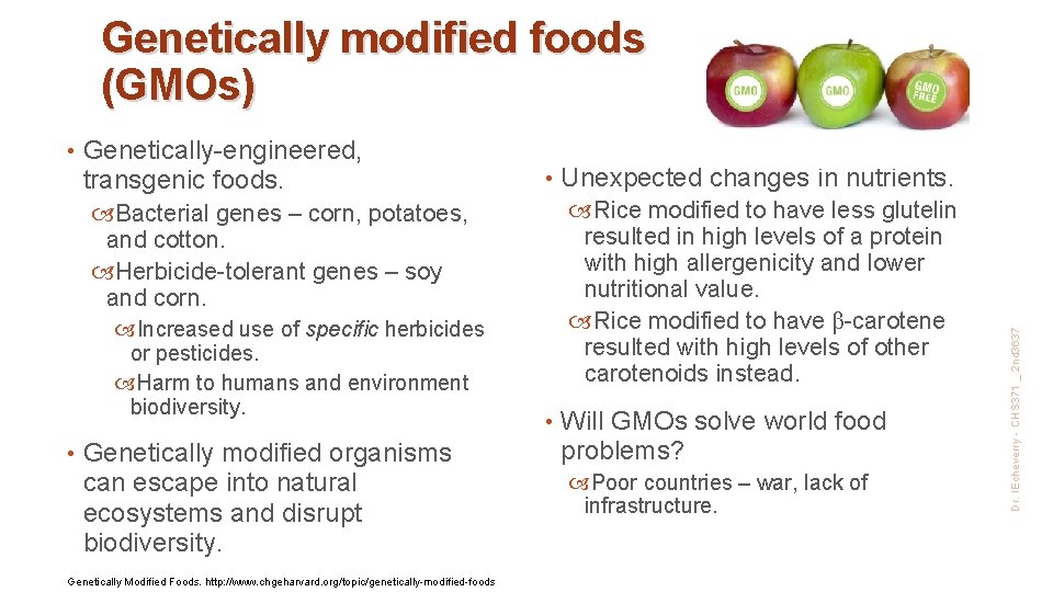 Genetically modified foods (GMOs) Genetically-engineered, transgenic foods. • Rice modified to have less glutelin