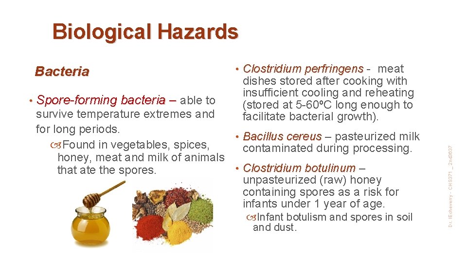 Biological Hazards • Spore-forming • bacteria – able to Clostridium perfringens - meat dishes