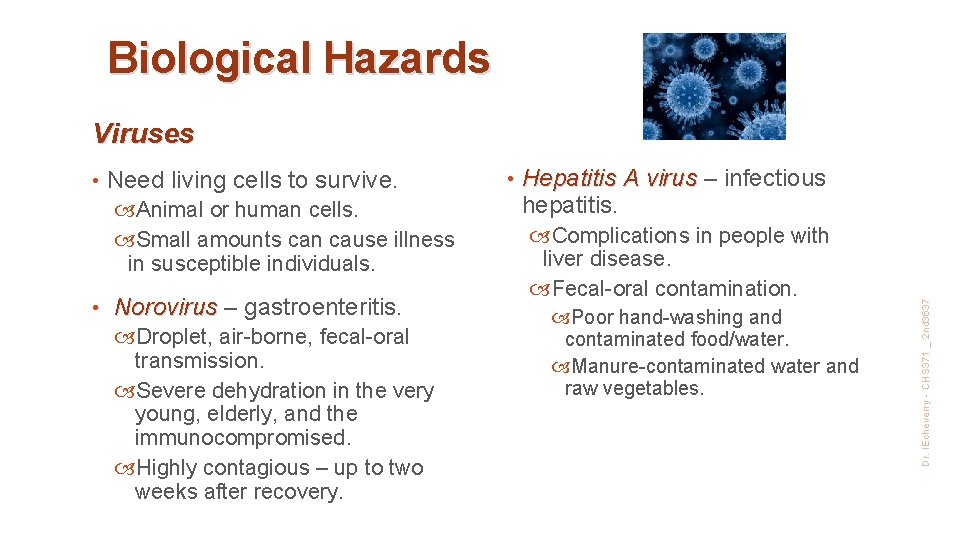 Biological Hazards Viruses Need living cells to survive. Animal or human cells. Small amounts