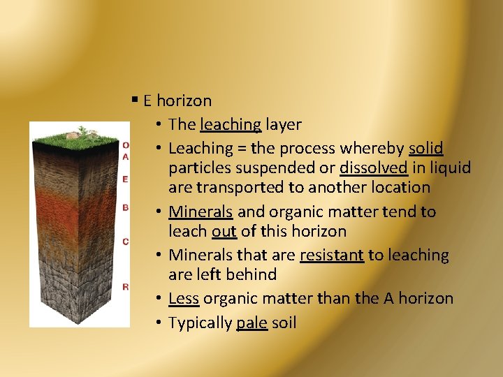 § E horizon • The leaching layer • Leaching = the process whereby solid