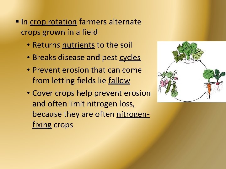 § In crop rotation farmers alternate crops grown in a field • Returns nutrients