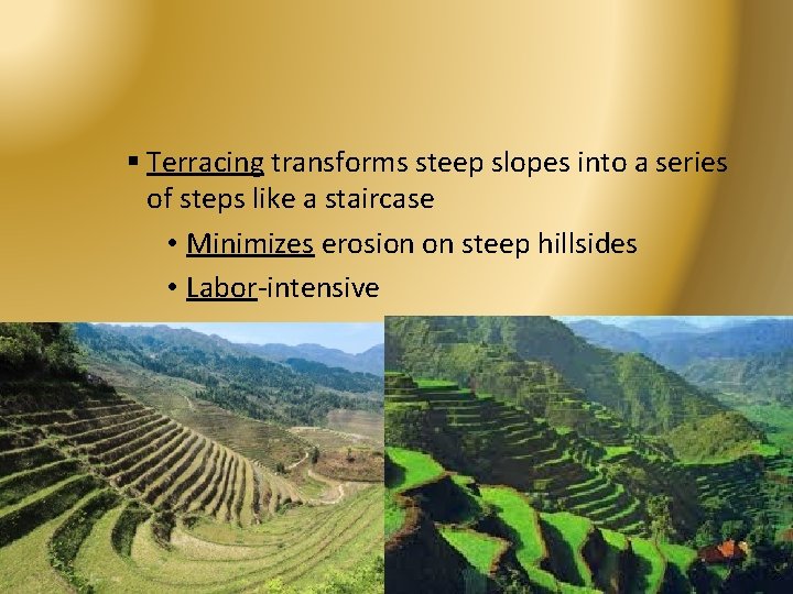 § Terracing transforms steep slopes into a series of steps like a staircase •