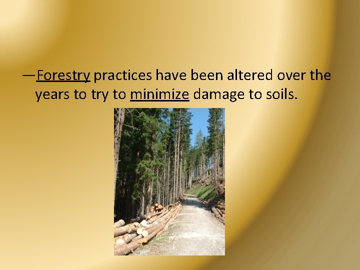 —Forestry practices have been altered over the years to try to minimize damage to