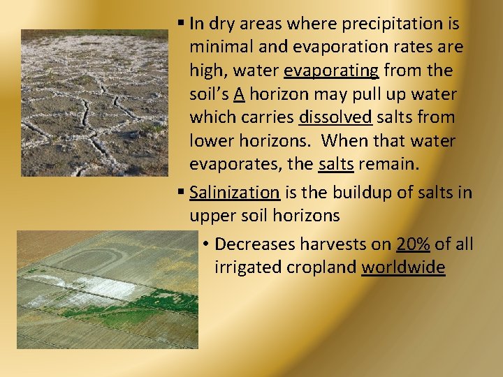 § In dry areas where precipitation is minimal and evaporation rates are high, water