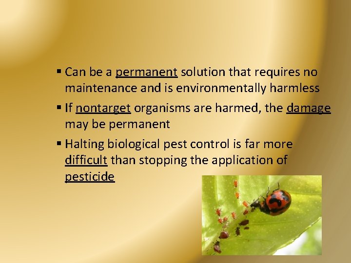 § Can be a permanent solution that requires no maintenance and is environmentally harmless