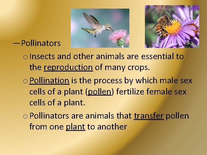 —Pollinators o Insects and other animals are essential to the reproduction of many crops.