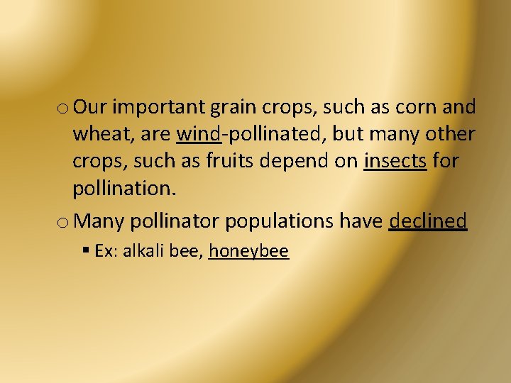 o Our important grain crops, such as corn and wheat, are wind-pollinated, but many