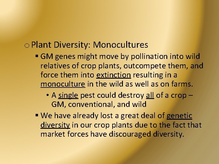 o Plant Diversity: Monocultures § GM genes might move by pollination into wild relatives