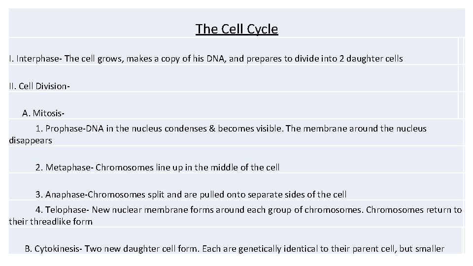 The Cell Cycle I. Interphase- The cell grows, makes a copy of his DNA,