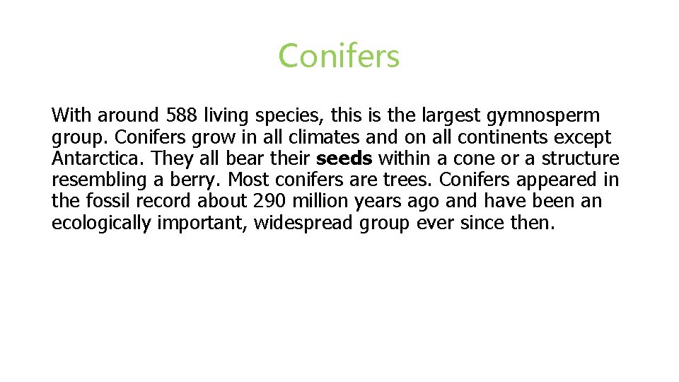 Conifers With around 588 living species, this is the largest gymnosperm group. Conifers grow