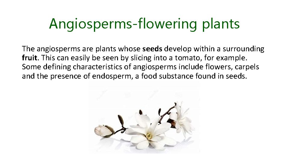 Angiosperms-flowering plants The angiosperms are plants whose seeds develop within a surrounding fruit. This